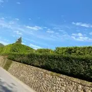 gomaの画像