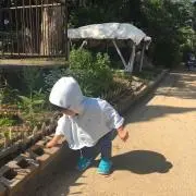 HiroSGの画像