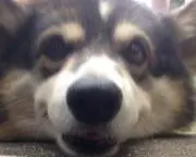 takusukeの画像