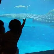 Mねえの画像
