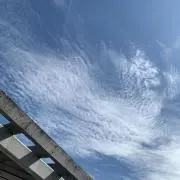 おもち