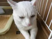 satomiyの画像