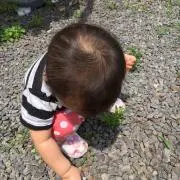 はーる(プロフ必読)