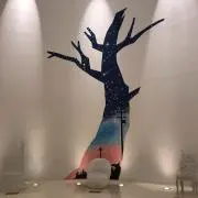lilyの画像