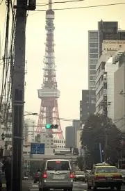 アタリメの画像