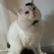 たすたろうの画像