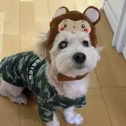 かまの画像