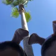 ABBの画像