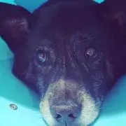 なぎこ