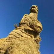 エイトの画像