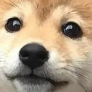 せいな