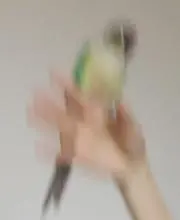 2023の画像