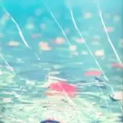 ☆みぃ☆の画像