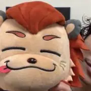 こゆちゃんの画像