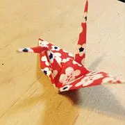 はなぞうの画像