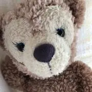 ちゃんの画像