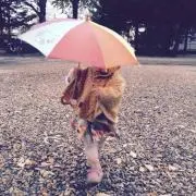 2424の画像