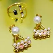 Summer.treeの画像