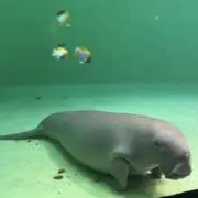 Bioの画像