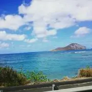 MAHALOの画像