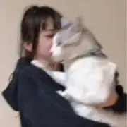 ももの画像