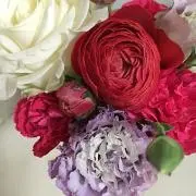 hao