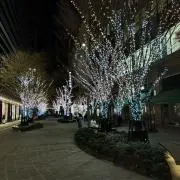 Ko⭐︎の画像