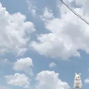 えあふらの画像