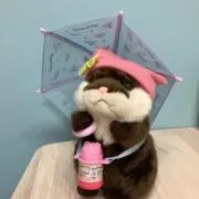 もぐの画像