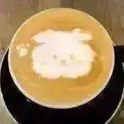 パピコ ✨家中断捨離中✨の画像