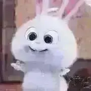 ちゃんももの画像