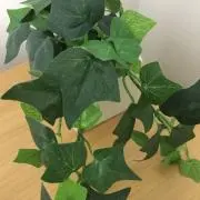 yuの画像