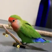 のらくろ