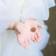 かぽの画像
