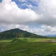 みか