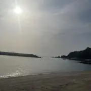 watatanの画像