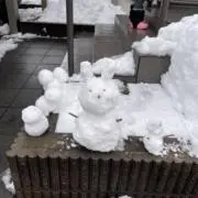 siiiの画像