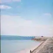 あおぞらの画像