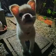 Mrの画像