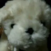 runa ショップ