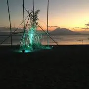 なおもな
