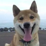 Tomo@