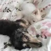 いくみ。プロフ必読の画像