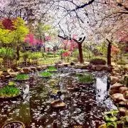sss【２４時間発送】の画像