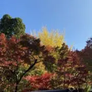 good as newの画像