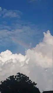 retamajyoの画像