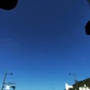 ひる