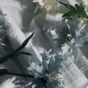 AMEの画像