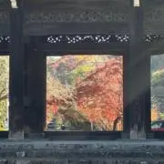 yukiの画像