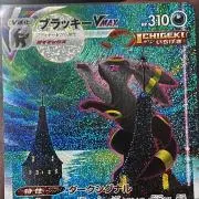 Kokoの画像